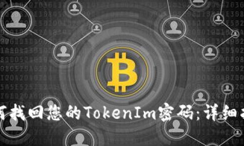 如何找回您的TokenIm密码：详细指南