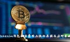 Tokenim钱包提币费用上涨的原因及应对策略