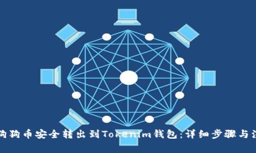 如何将狗狗币安全转出到Tokenim钱包：详细步骤与注意事项