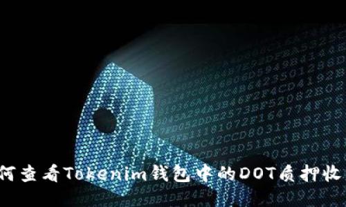 如何查看Tokenim钱包中的DOT质押收益？