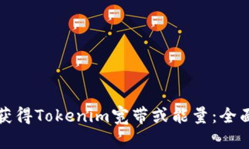 如何获得Tokenim宽带或能量：全面指南