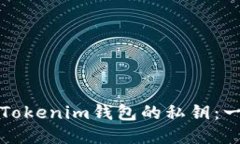 如何找回Tokenim钱包的私钥：一步步指导