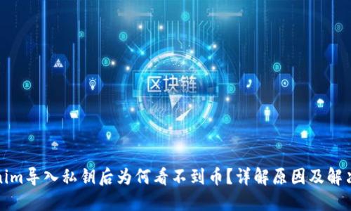 Tokenim导入私钥后为何看不到币？详解原因及解决方案