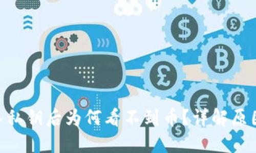 Tokenim导入私钥后为何看不到币？详解原因及解决方案