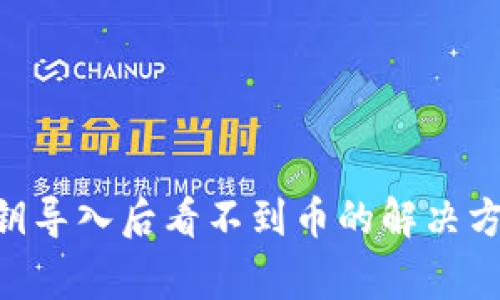 : Tokenim私钥导入后看不到币的解决方案与注意事项