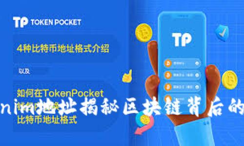 通过Tokenim地址揭秘区块链背后的真实身份