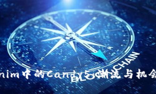 探索Tokenim中的Candy5：潮流与机会的交汇点