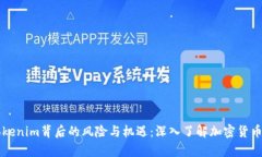 解析Tokenim背后的风险与机遇：深入了解加密货币