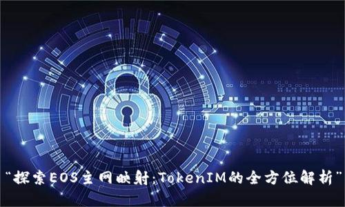 “探索EOS主网映射：TokenIM的全方位解析”
