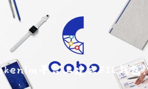 如何在Tokenim平台上建立FIL钱包：详细指南