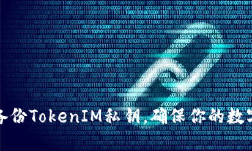 如何安全备份TokenIM私钥，确保你的数字资产安全